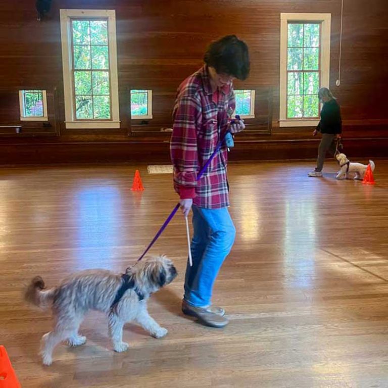 2024-FallWellManneredWoofs01